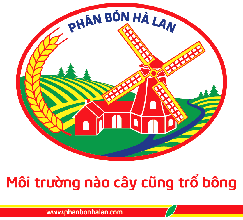 Công ty Cổ phần Phân bón Hà Lan